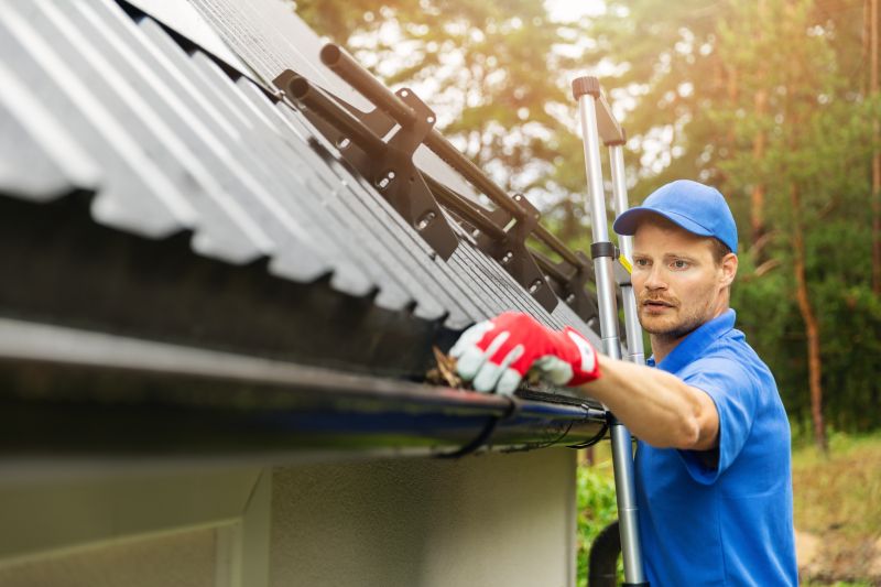 Gutter Cleaning and Maintenance