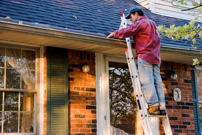 Local Gutter Specialists
